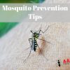 Prevent Mosquito