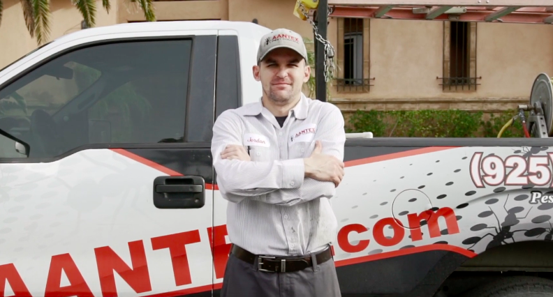 5 Tips for Finding the Best Pest Control Company