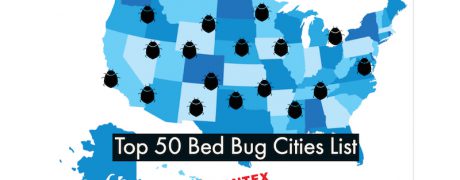 Top 50 Bed Bug Cities List