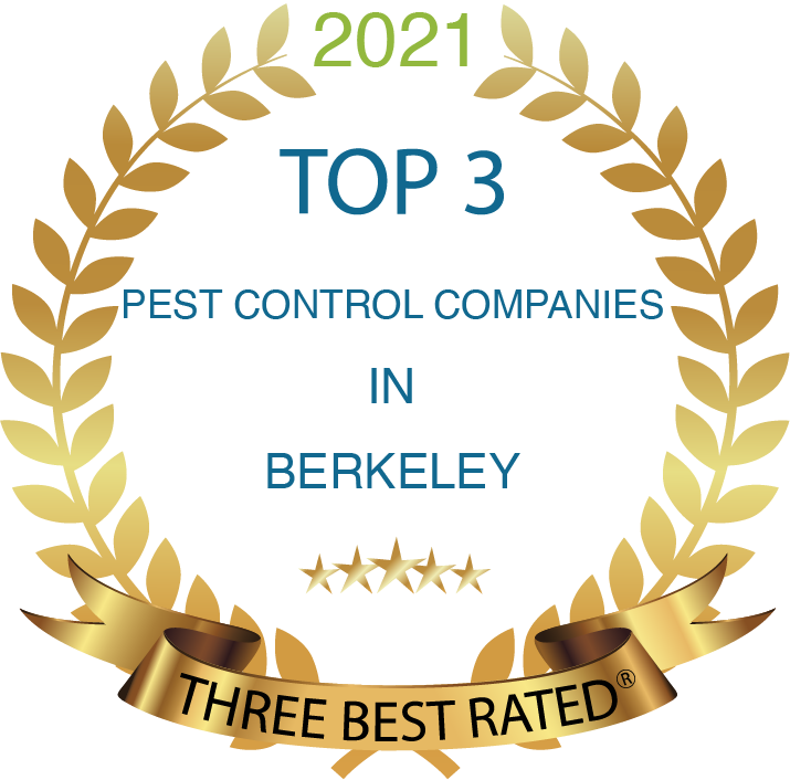 Best Pest control companies in Berkeley