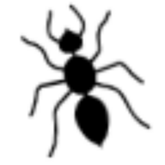 Picture of Aantex Pest Control