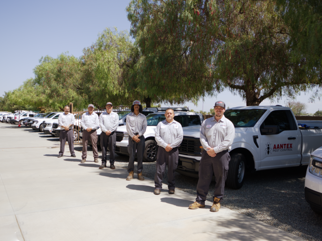 Aantex Pest Control team alongside company service vehicles