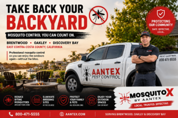 Aantex Pest Control mosquito control service in Brentwood, Oakley and Discovery Bay, California, helping homeowners enjoy their backyards again.