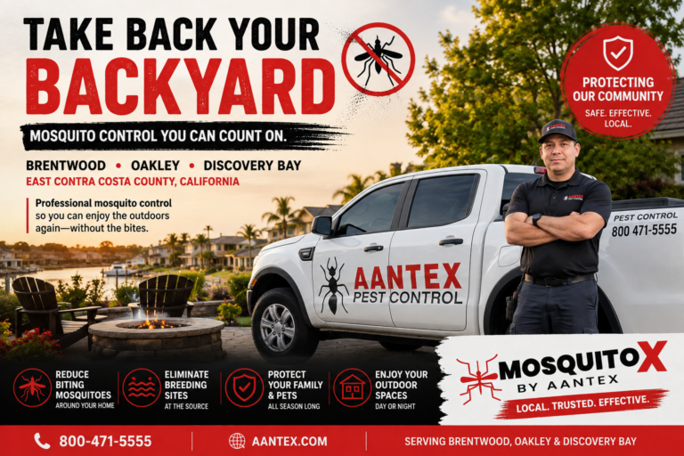 Aantex Pest Control mosquito control service in Brentwood, Oakley and Discovery Bay, California, helping homeowners enjoy their backyards again.