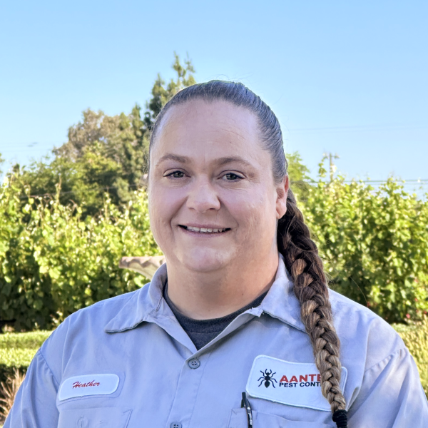 Heather Service Professional 2026