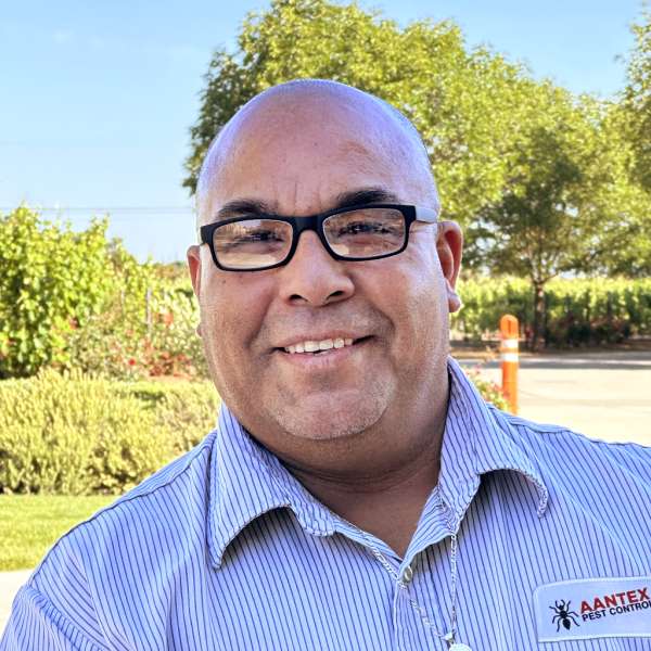 Rudy Service Professional 2026