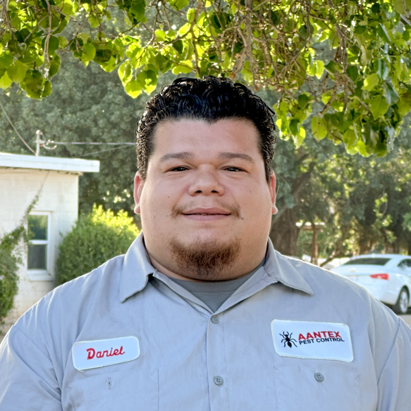 Daniel