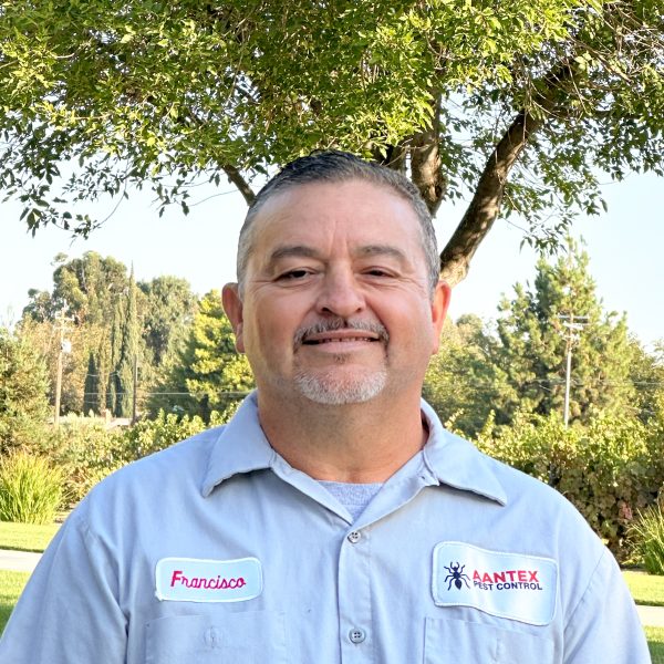 Service Professional Francisco 2025 (1)