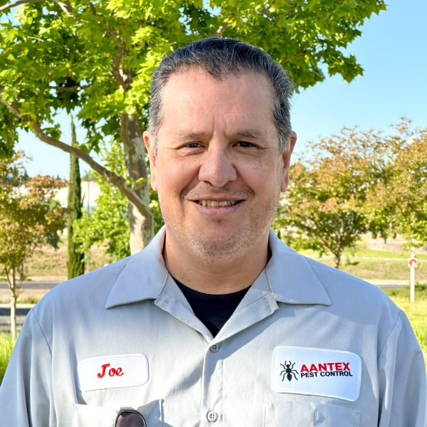 Service Professional Joe 2025