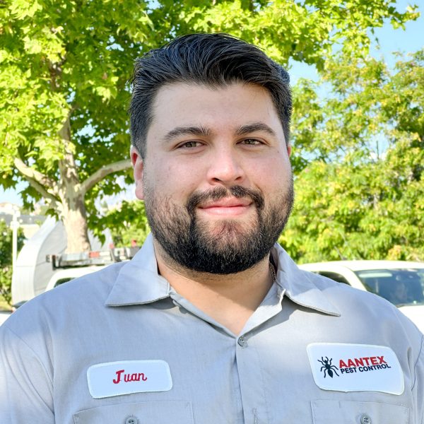 Service Professional Juan L 2025