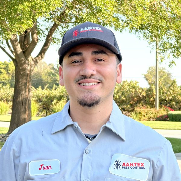 Service Professional Juan R 2025 (1)